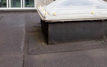 disadvantages of Freswick flat roofs