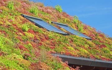 Freswick living roof systems