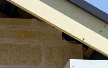 soffit repair Freswick