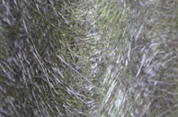 Freswick fibreglass roof work